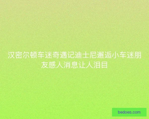 汉密尔顿车迷奇遇记迪士尼邂逅小车迷朋友感人消息让人泪目